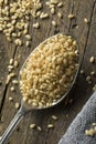 Raw Organic Short Grain Brown Rice Royalty Free Stock Photo