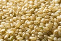 Raw Organic Short Grain Brown Rice Royalty Free Stock Photo