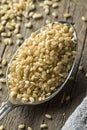 Raw Organic Short Grain Brown Rice Royalty Free Stock Photo