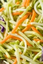 Raw Organic Shredded Broccoli Slaw