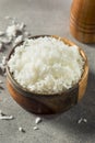 Raw Organic Shredded Coconut Flakes Royalty Free Stock Photo