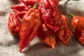 Raw Organic Spicy Bhut Jolokia Ghost Peppers