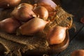Raw Organic Spicy Shallots Royalty Free Stock Photo