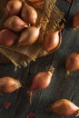 Raw Organic Spicy Shallots Royalty Free Stock Photo