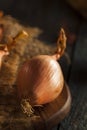 Raw Organic Spicy Shallots Royalty Free Stock Photo
