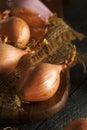 Raw Organic Spicy Shallots Royalty Free Stock Photo