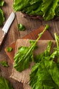 Raw Organic Turnip Greens Royalty Free Stock Photo