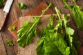 Raw Organic Turnip Greens Royalty Free Stock Photo