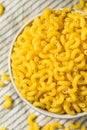 Raw Organic Uncooked Macaroni Noodles