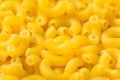 Raw Organic Uncooked Macaroni Noodles