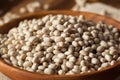 Raw Organic White Navy Beans Royalty Free Stock Photo