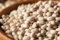Raw Organic White Navy Beans Royalty Free Stock Photo