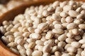 Raw Organic White Navy Beans