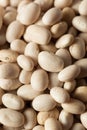 Raw Organic White Navy Beans Royalty Free Stock Photo