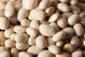 Raw Organic White Navy Beans Royalty Free Stock Photo