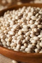 Raw Organic White Navy Beans Royalty Free Stock Photo