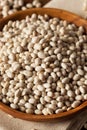 Raw Organic White Navy Beans Royalty Free Stock Photo
