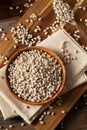 Raw Organic White Navy Beans Royalty Free Stock Photo