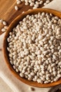 Raw Organic White Navy Beans Royalty Free Stock Photo