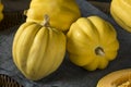 Raw Organic White Yellow Acorn Squash Royalty Free Stock Photo