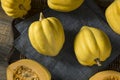 Raw Organic White Yellow Acorn Squash Royalty Free Stock Photo