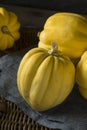 Raw Organic White Yellow Acorn Squash Royalty Free Stock Photo