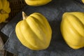Raw Organic White Yellow Acorn Squash Royalty Free Stock Photo
