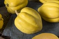 Raw Organic White Yellow Acorn Squash Royalty Free Stock Photo