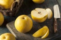 Raw Organic Yellow Asian Apple Pears Royalty Free Stock Photo