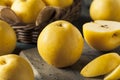 Raw Organic Yellow Asian Apple Pears Royalty Free Stock Photo