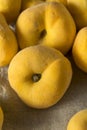 Raw Organic Yellow Donut Saturn Peaches Royalty Free Stock Photo