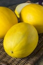 Raw Organic Yellow Honedew Melon