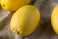 Raw Organic Yellow Spaghetti Winter Squash Royalty Free Stock Photo