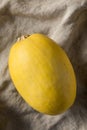 Raw Organic Yellow Spaghetti Winter Squash Royalty Free Stock Photo