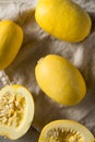 Raw Organic Yellow Spaghetti Winter Squash Royalty Free Stock Photo