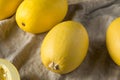 Raw Organic Yellow Spaghetti Winter Squash Royalty Free Stock Photo