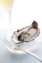 Raw Oyster on Ice