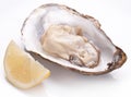 Raw oyster and lemon on a whte background. Royalty Free Stock Photo