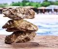 Raw oyster on the old wooden table. Royalty Free Stock Photo