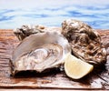 Raw oyster on the old wooden table. Royalty Free Stock Photo