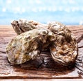 Raw oyster on the old wooden table. Royalty Free Stock Photo