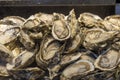 Raw oyster sold in a night market Royalty Free Stock Photo