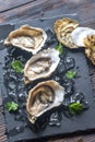 Raw oysters on the black stone board