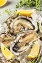 raw oysters on a platter on a light background top view. place for text Royalty Free Stock Photo