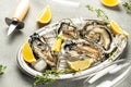 raw oysters on a platter on a light background top view. place for text Royalty Free Stock Photo