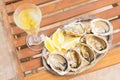 Raw oysters shells Royalty Free Stock Photo