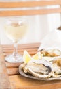 Raw oysters shells Royalty Free Stock Photo