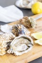 Raw oysters shells Royalty Free Stock Photo