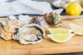 Raw oysters shells Royalty Free Stock Photo