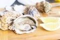 Raw oysters shells Royalty Free Stock Photo